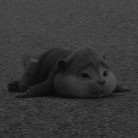 ���� ������������� Laylo �� ������ ������