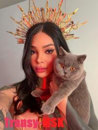 ���� ������������� Dina NEW �� ������ ������