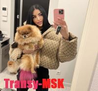 ���� ������������� �������� �� ������ ������