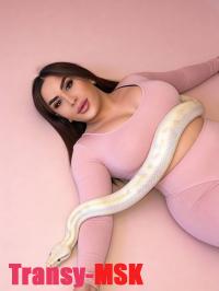 ���� ������������� ����� �� ������ ������